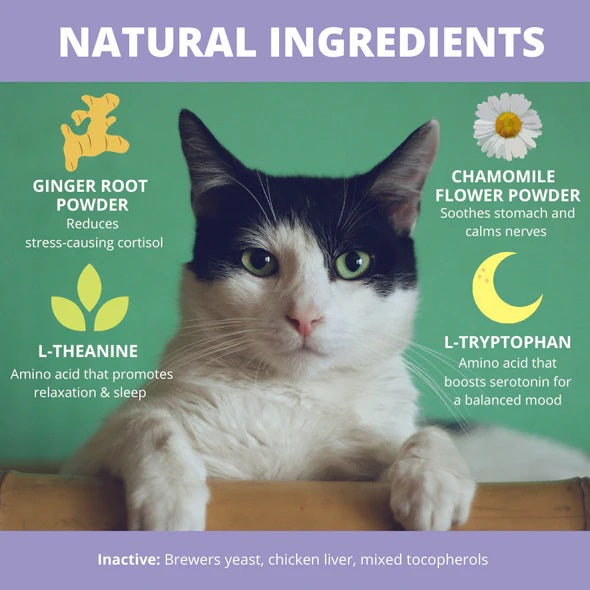 Under the Weather Calming Powder For Cats 2.54 oz.