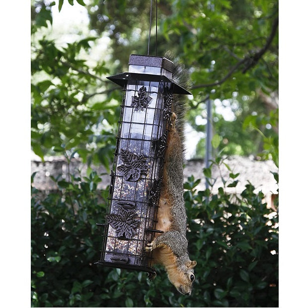 Perky Pet Squirrel-B-Gone Original Bird Feeder 336