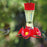 Perky Pet Pinch Waist Hummingbird Feeder 203CPBN