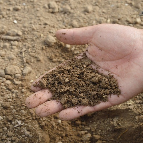 Your Guide to Soil Maintenance