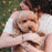 K'lani "Paws" Natural Hues with Silver & Paw Accents Hair Tie Bracelet