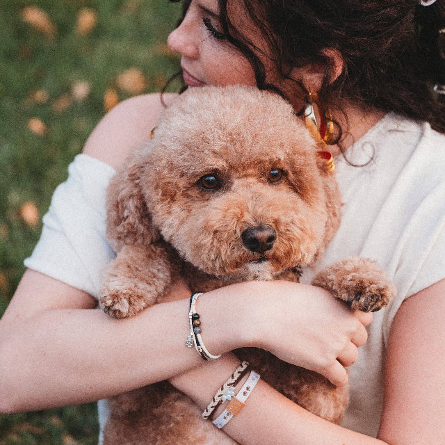 K'lani "Paws" Natural Hues with Silver & Paw Accents Hair Tie Bracelet