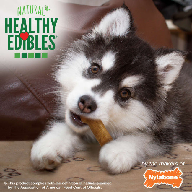Nylabone Healthy Edibles Natural Puppy Chew, Lamb & Apple Petite