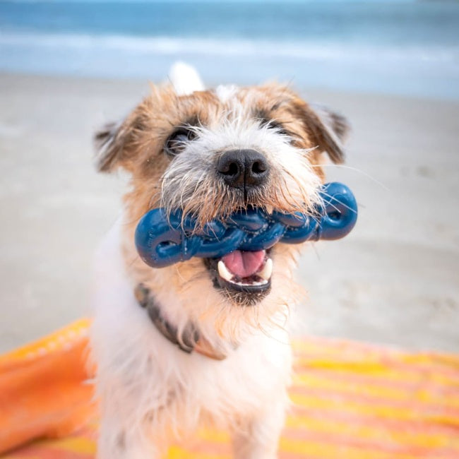 Nylabone Power Chew Love our Oceans Infinity Braid Bone Dog Chew Toy