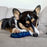 Nylabone Power Chew Love our Oceans Infinity Braid Bone Dog Chew Toy