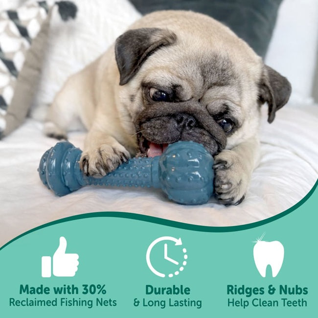 Nylabone Power Chew Love our Oceans Barbell Dog Chew Toy Medium, Bacon Flavor