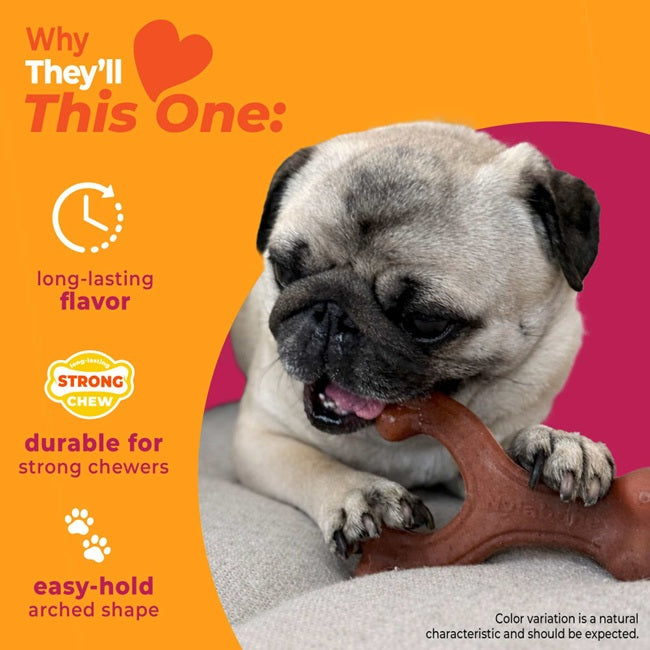 Nylabone Strong Chew Wishbone Dog Chew Toy Small, Bacon Flavor