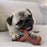 Nylabone Strong Chew Wishbone Dog Chew Toy Small, Bacon Flavor