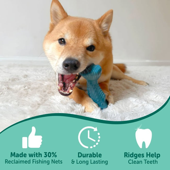 Nylabone Power Chew Love our Oceans Textured Fish Dog Chew Toy