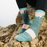 Women's Bear Town Micro Crew Lightweight Hiking Socks, Quartz