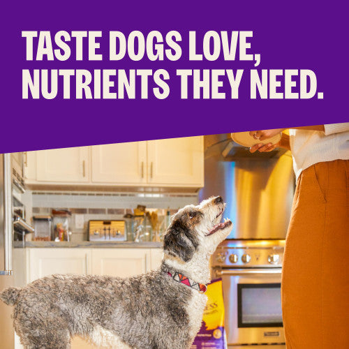 Wellness Complete Health Large Breed Chicken & Rice Dog Food 30 lbs.