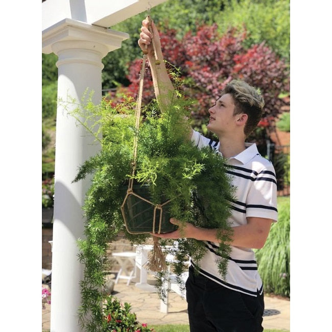 Jute Beaded Plant Hanger 36in