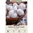 Softneck Garlic, Artichoke Type (California Seed Garlic)- 6 Pack