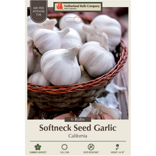 Softneck Garlic, Artichoke Type (California Seed Garlic)- 6 Pack
