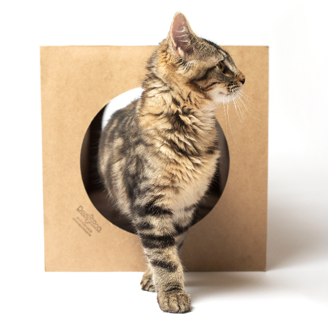 Dezi & Roo Hide and Sneak Collapsible Paper Cat Tunnel