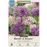 Allium 'Starlight Blend', 6 Pack