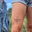 Luna Moth Temporary Tattoo