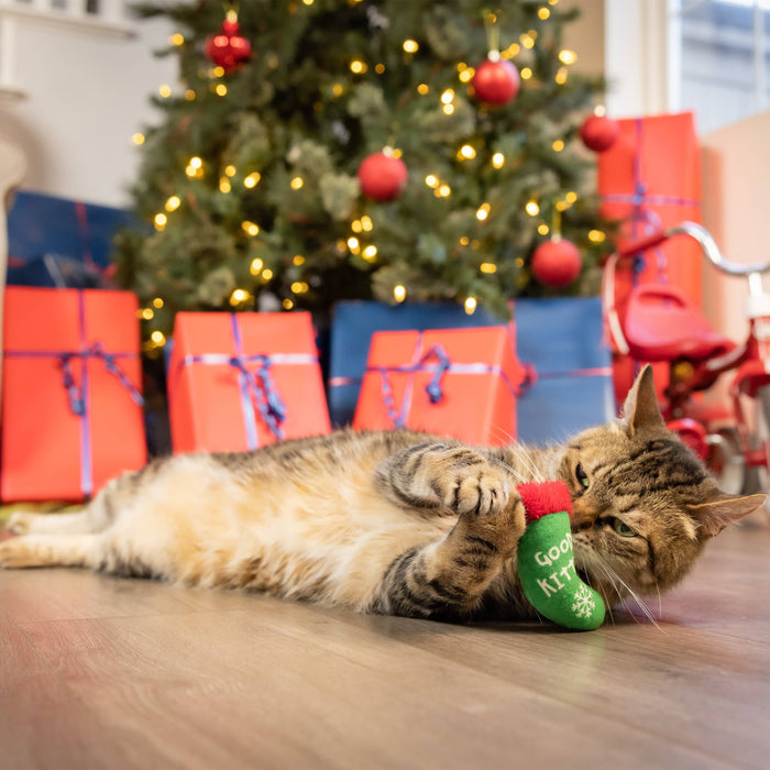 Good Kitty/Bad Kitty Stocking Cat Toy