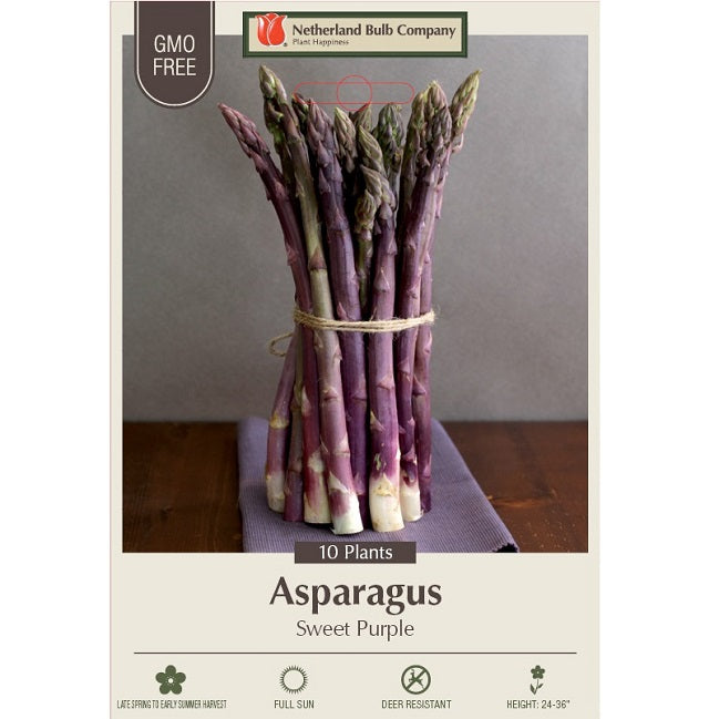 Asparagus Roots 'Sweet Purple'- 10 per Bundle
