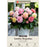 Begonia Samba 'Pastel Mixture' - Pack of 4 Tubers