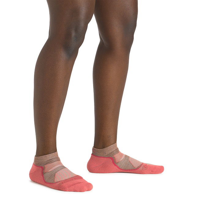 Women's Light Hiker No Show Lightweight Hiking Socks, Canyon