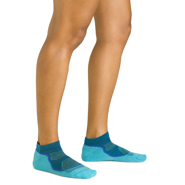 Women's Light Hiker No Show Lightweight Hiking Socks, Cascade