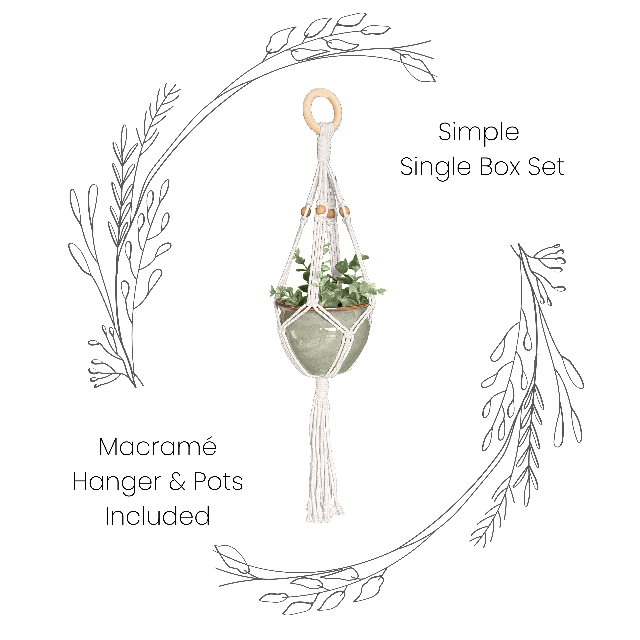 Box Set: Simple Single Macramé Plant Hanger & Sage Green Ceramic Pot