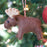 Moose Felt Wool Ornament