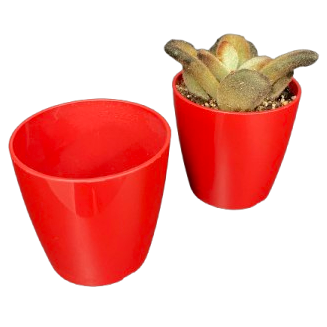 Planter, Tiny Round Red Plastic "San Remo" 2.25 Inch