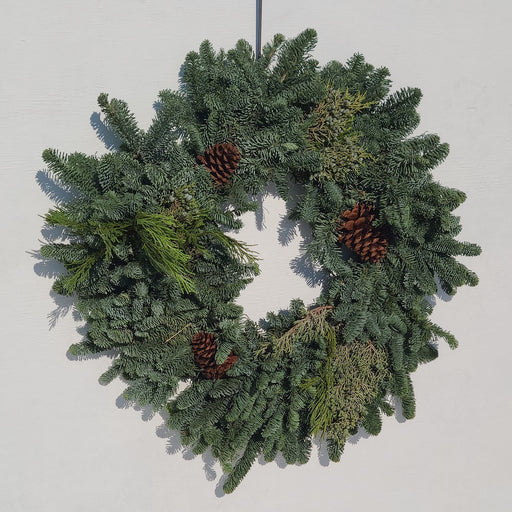 Noble Fir Wreath with Cones 24-IN