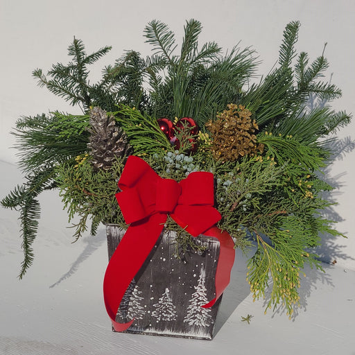 Square Tin Holiday Planter, 6.5inch