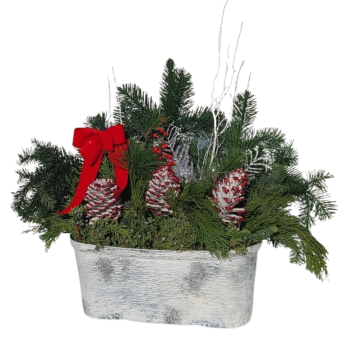 Holiday Oval Birch Planter