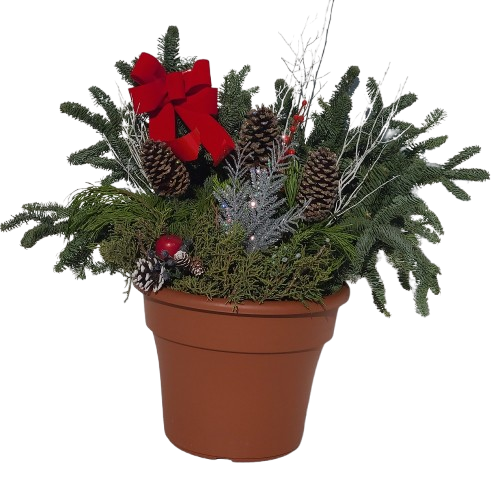Holiday Terra Cotta Planter, 12-inch
