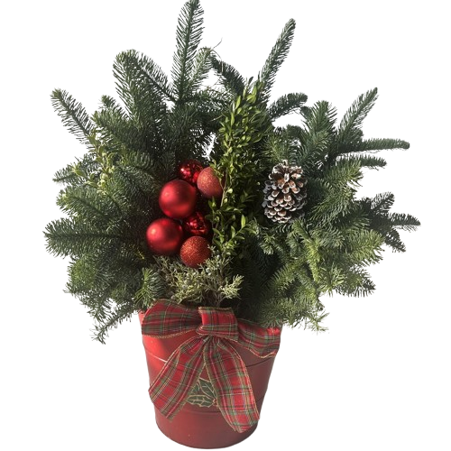 Holiday Embossed Red Tin Planter, 12-Inch