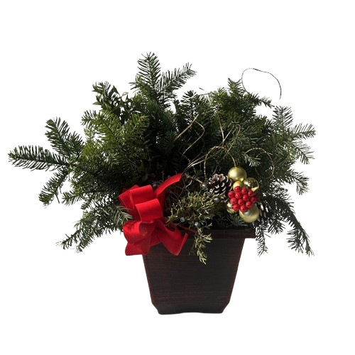 Holiday Torino Square Planter