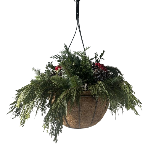 Holiday Coco Hanging Basket