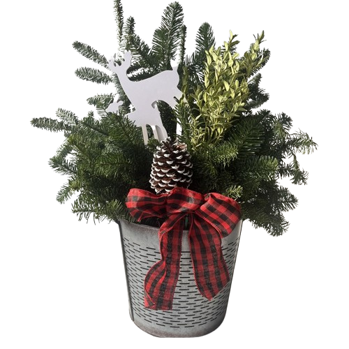 Holiday Farm House Tin Planter, Galvanized