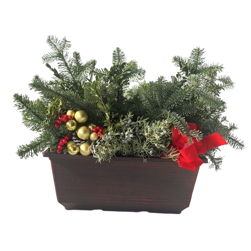 Holiday Torino Window Box Planter