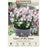 Glory of the Snow (Chionodoxa) Bulbs -  'Pink Giant', Pack of 20