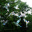 Window Gems Hummingbirds 7 Piece Prismatic Window Decals