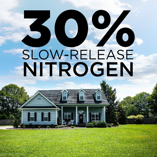 GreenView Lawn Fertilizer with GreenSmart