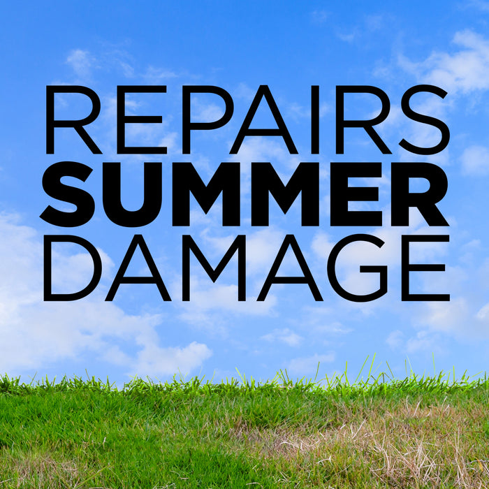 GreenView Fall Lawn Fertilizer with GreenSmart