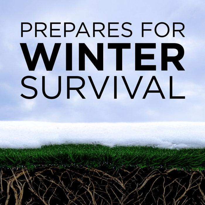 GreenView Fall Lawn Fertilizer with GreenSmart