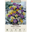 Snow Crocus, Crocus Specie 'Mixture' - Pack of 25 Corms