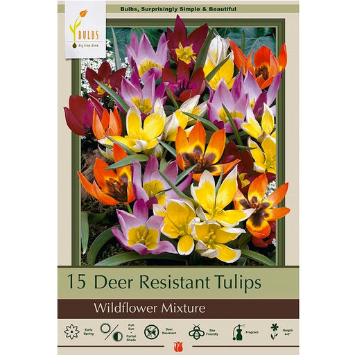 Deer-Resistant Tulip Bulbs-"Wildflower Mixture", Pack of 15