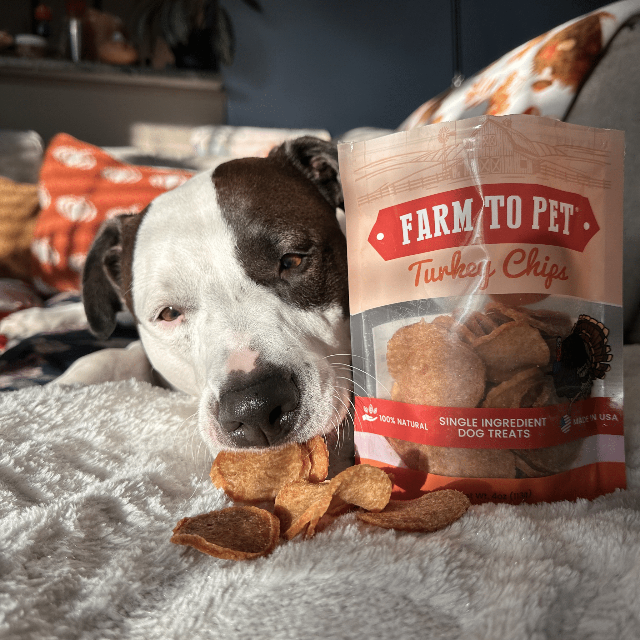 Farm to Pet Turkey Chips 4oz Single-Ingredient Dog Treats