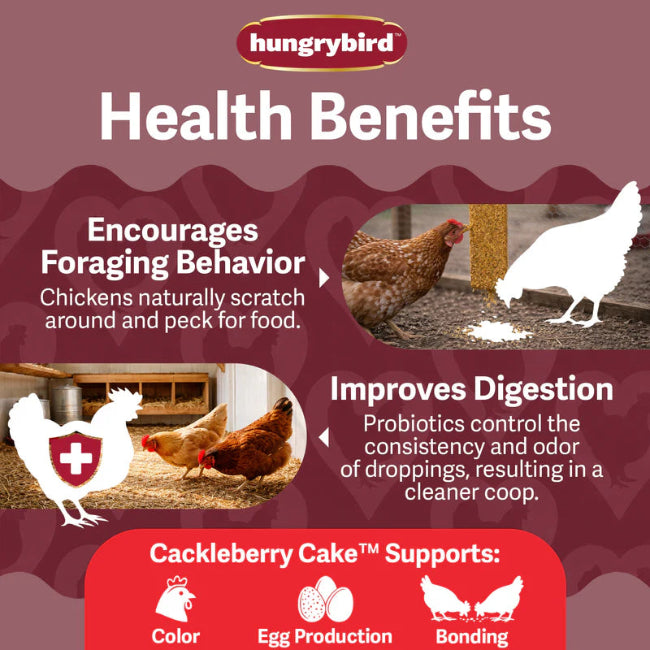 Hungrybird Cackleberry Cake Treat 15oz