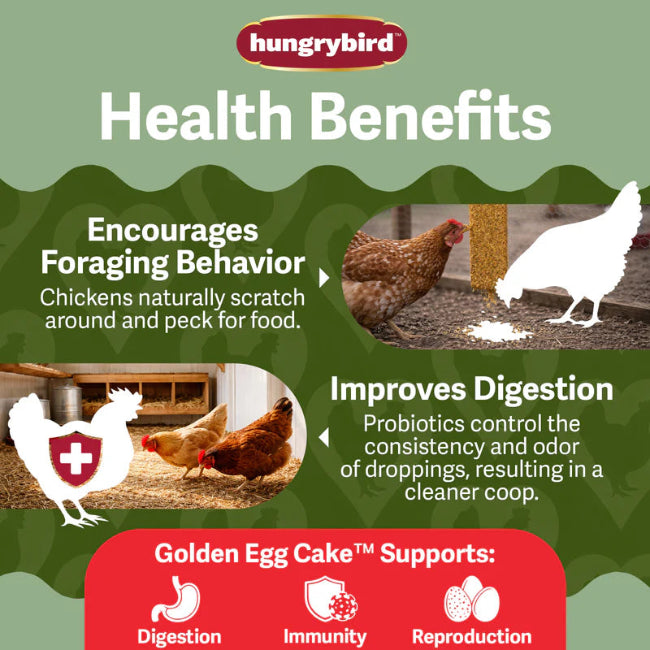 Hungrybird Golden Egg Cake Treat 15oz