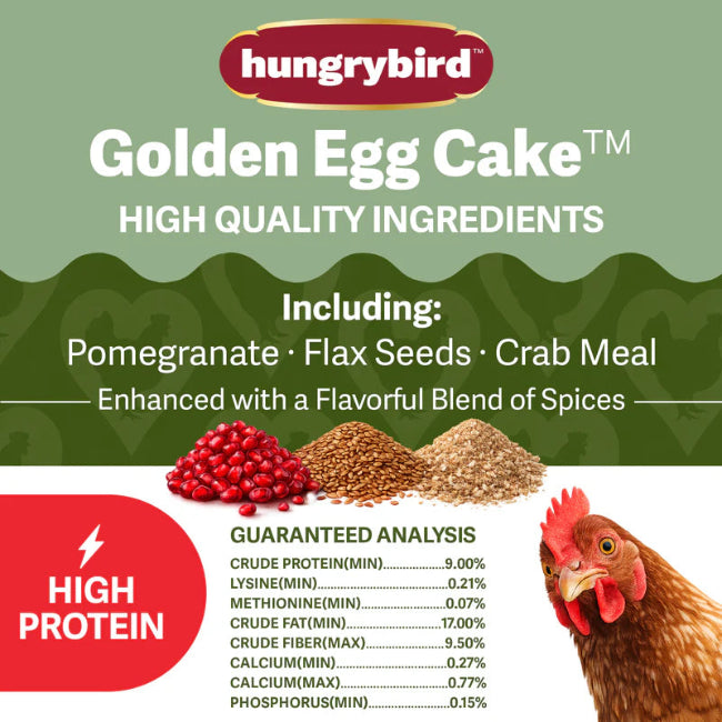 Hungrybird Golden Egg Cake Treat 15oz