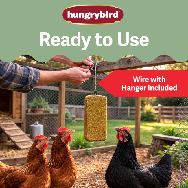 Hungrybird Golden Egg Cake Treat 15oz